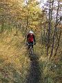 bici olera 015